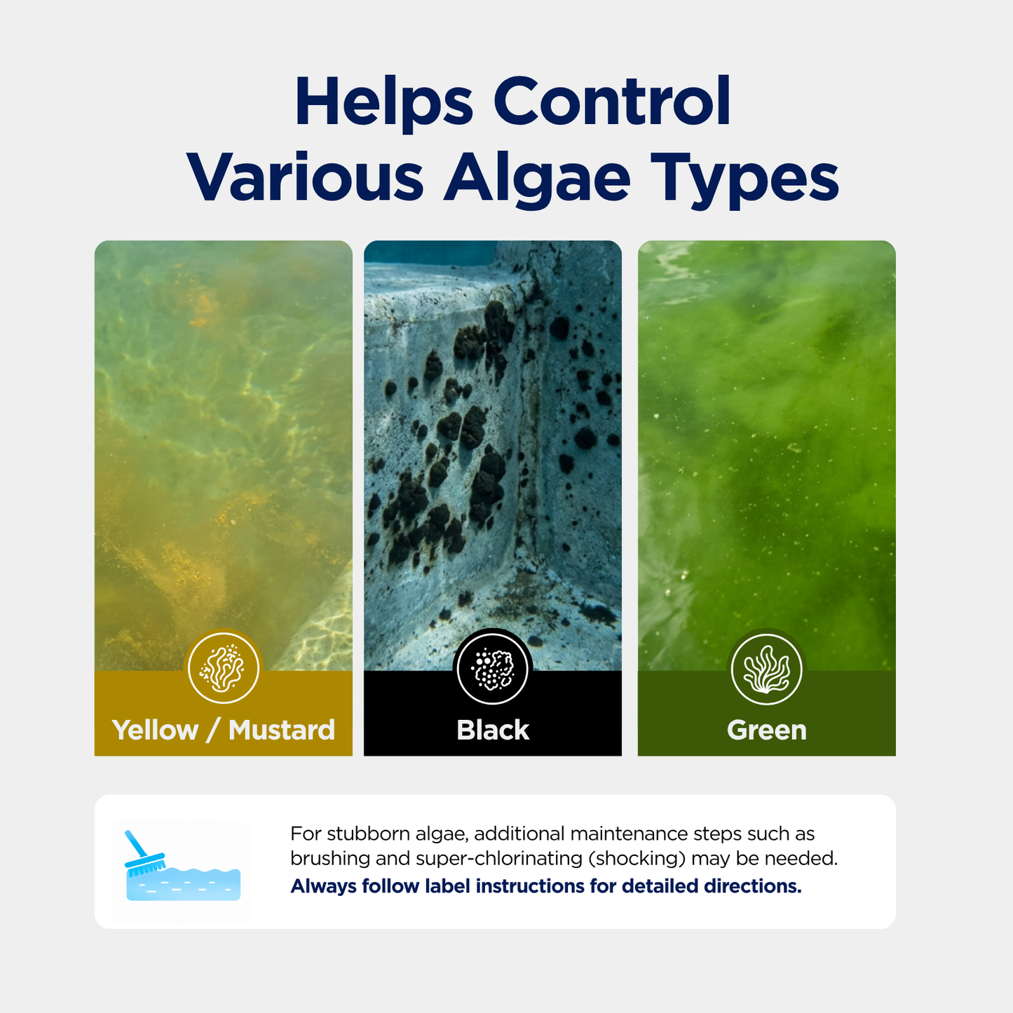 Algae Smash for Pool