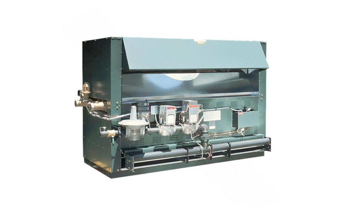 Raypak 012401 Raytherm® P - 3001 Indoor Natural Gas Heater with CWR 3000K BTU - AquaDoc