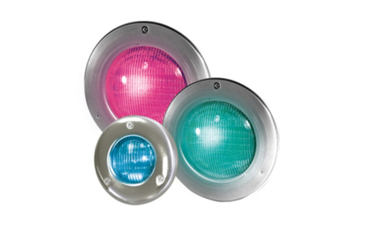 Vibrant Colors Underwater