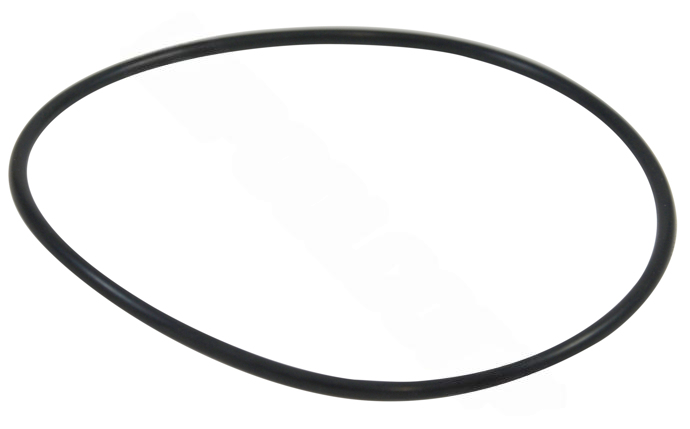Polaris Backplate O-Ring for PB4-60 Booster Pump