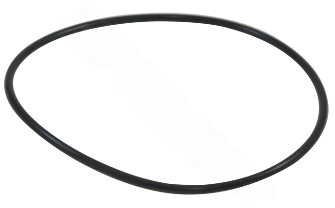 Polaris Backplate O - Ring for PB4 - 60 Booster Pump with 60Hz Motor R0536600 - AquaDoc