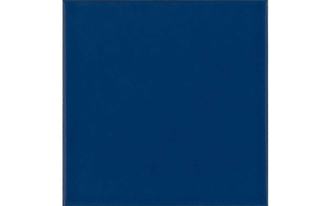 “Installed navy‑blue pool waterline tiles”