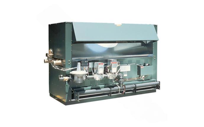 Raypak Raytherm® P-2500 Indoor Liquid Propane Gas Heater