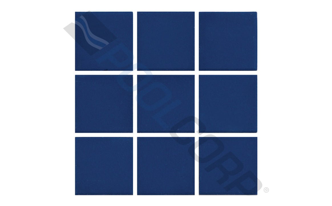 NPT 0R0822GMS1P 2" x 2" Unglazed Collection Sapphire Sky Design Porcelain - AquaDoc