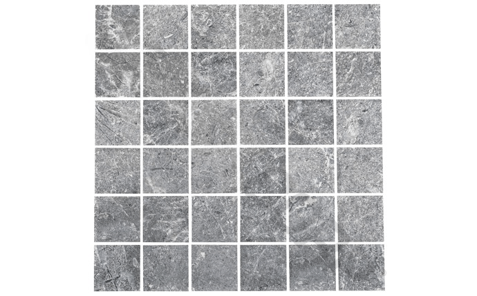 NPT SFR - GRAY2X2 2" x 2" Safari Tile Boulder Gray - AquaDoc