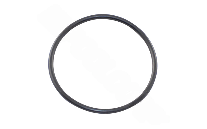 Super - Pro Strainer Pot Flange/ Equalizer O - Ring O - 301 - 9 - AquaDoc