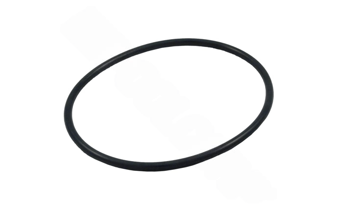 Waterway O - RING, 439 BN50 - SVL/MUSTANG POOL PUMP LID 805 - 0439 - AquaDoc