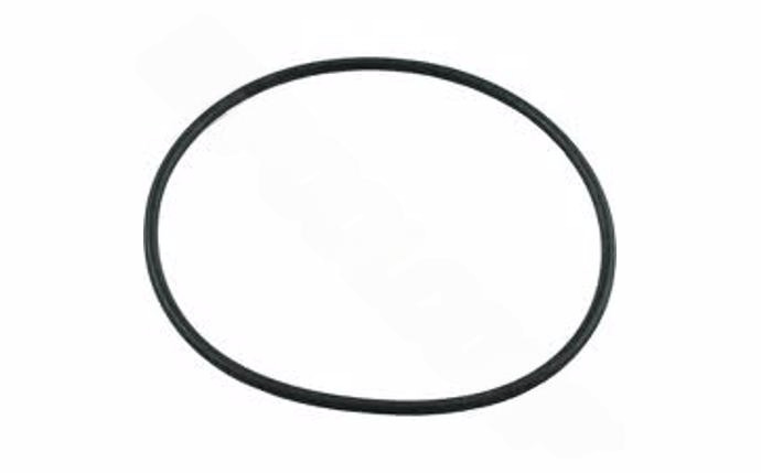 Super - Pro O - 304 - 9 O - Ring for WhisperFlo® Seal Plate - AquaDoc