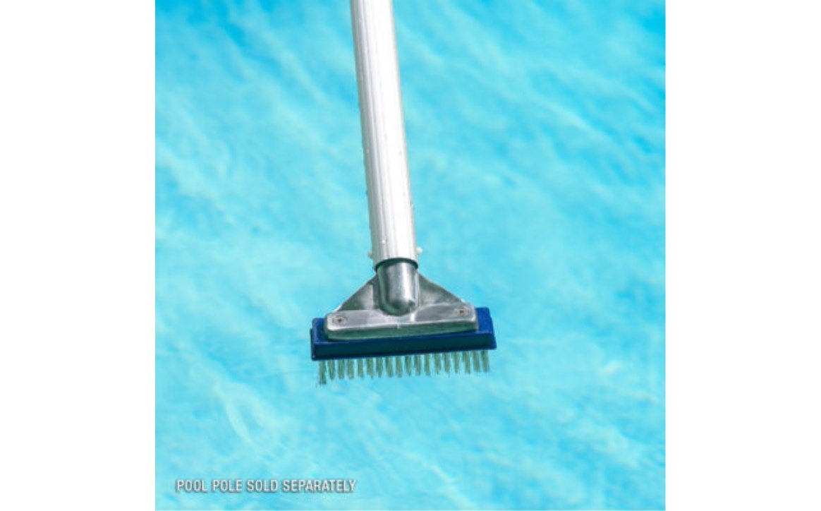 Poolmaster 20178 5″ Aluminum - Back Algae Brush with Stainless Steel Bristles - AquaDoc