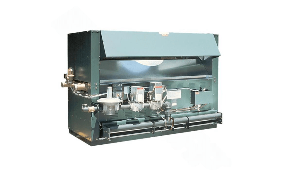 Raypak 012402 Raytherm® P - 3001 Indoor Liquid Propane Gas Heater with CWR 3000K BTU - AquaDoc