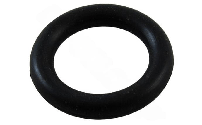 Waterway Plastics 805 - 0207 O - RING, 207 BN40 - PRO CLEAN FILTER AIR VALVE - AquaDoc