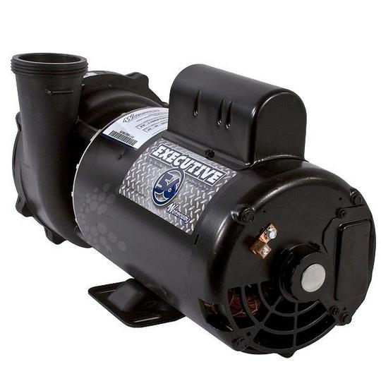 Waterway Executive 56 Frame 2 Speed Spa Pump 4 HP 230V 3721621 - 1D - AquaDoc
