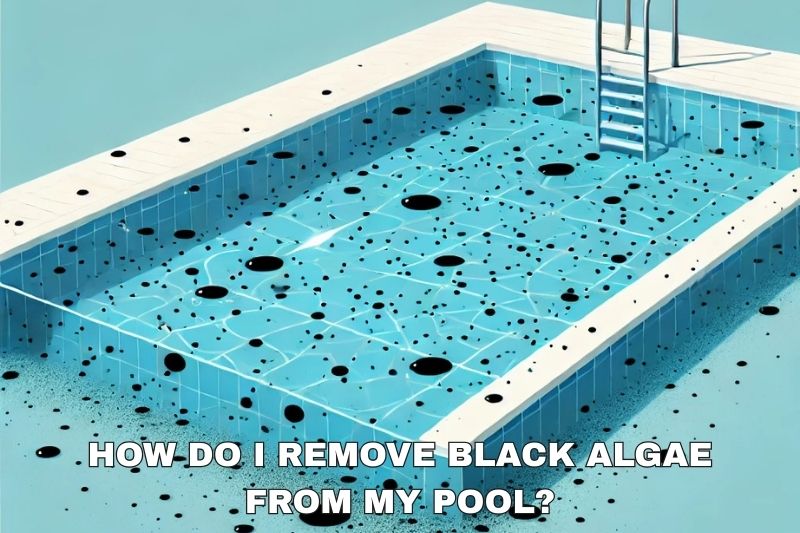 How Do I Remove Black Algae from My Pool? - AquaDoc