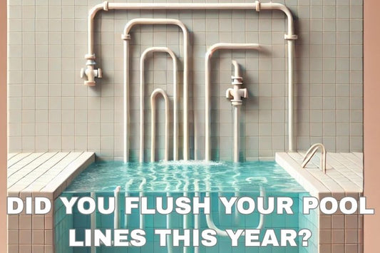 Did You Flush Your Pool Lines This Year? - AquaDoc