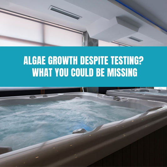 Algae Growth Despite Testing? What You Could Be Missing - AquaDoc