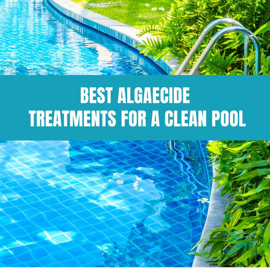 Best Algaecide Treatments for a Clean Pool - AquaDoc
