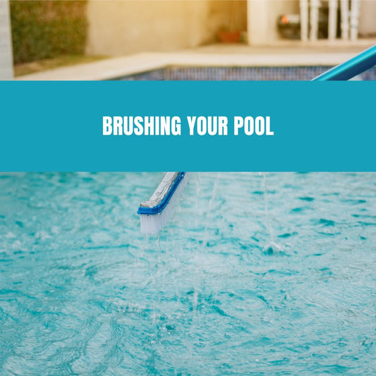 Brushing your Pool