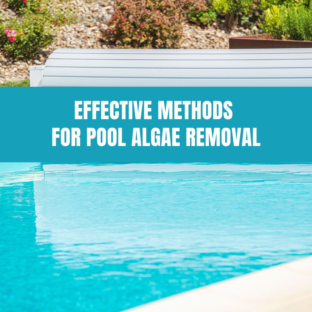 Effective Methods for Pool Algae Removal - AquaDoc