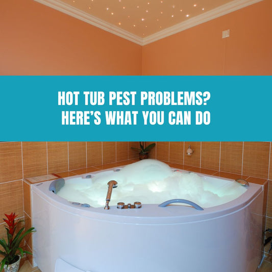 Hot Tub Pest Problems? Here’s What You Can Do - AquaDoc