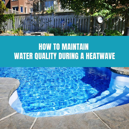 How to Maintain Water Quality During a Heatwave