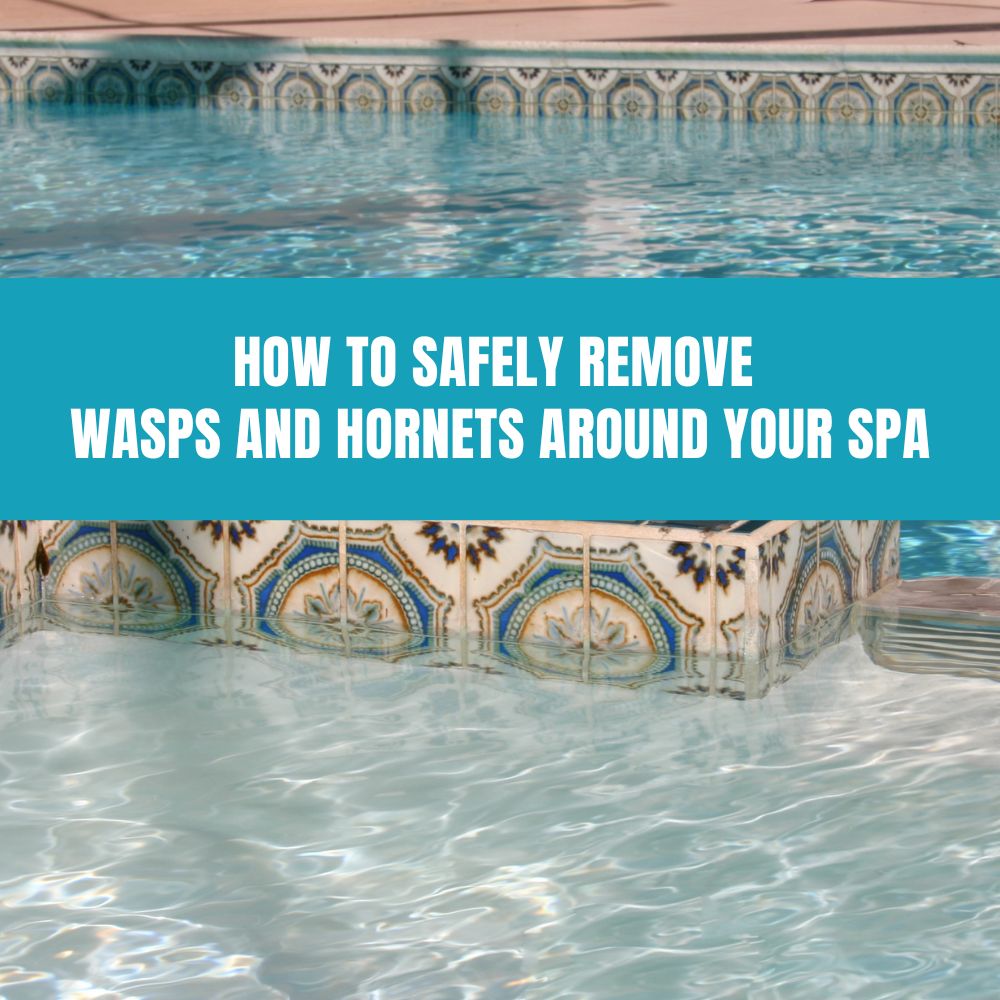 How to Safely Remove Wasps and Hornets Around Your Spa - AquaDoc