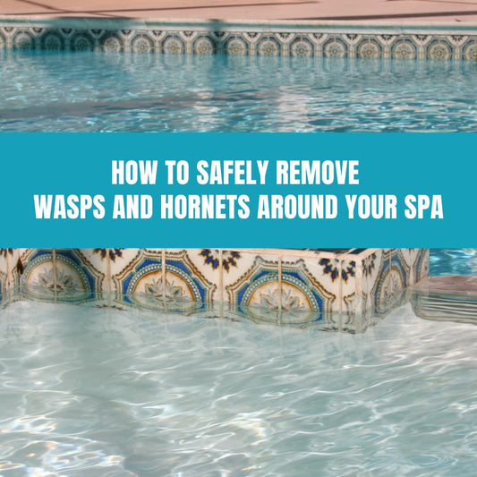 How to Safely Remove Wasps and Hornets Around Your Spa - AquaDoc