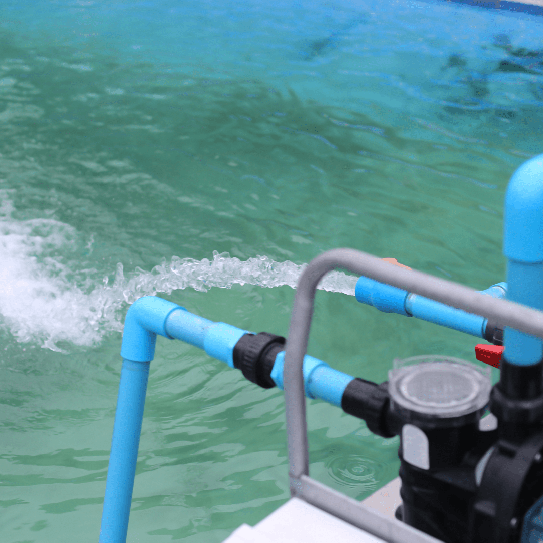 Best Pool Pumps for Above Ground Pools – AquaDoc
