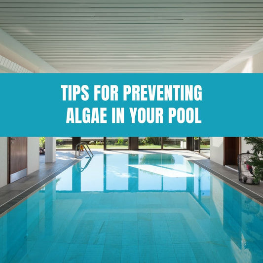 Tips for Preventing Algae in Your Pool - AquaDoc