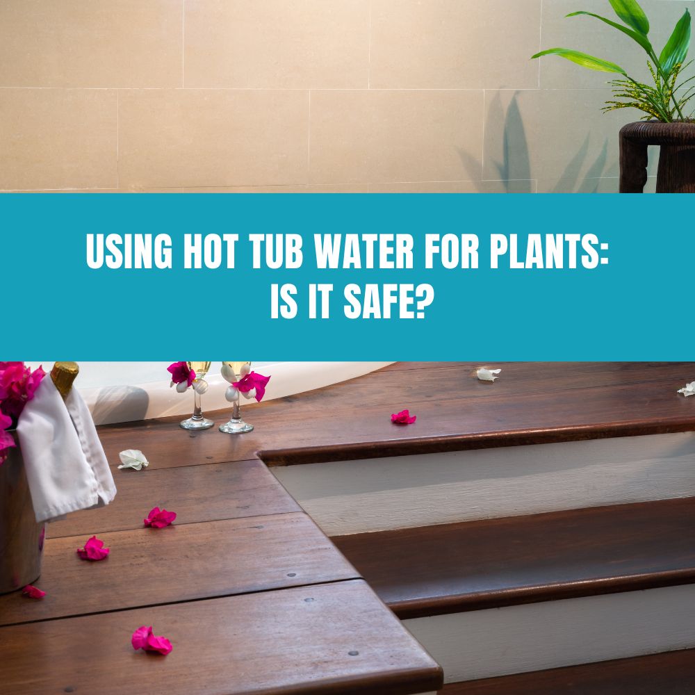 Using Hot Tub Water for Plants: Is It Safe? - AquaDoc