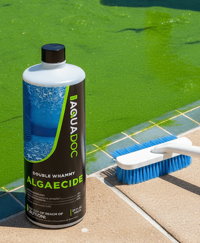How to Eliminate Pool Algae Fast (and Keep It From Coming Back) - AquaDoc