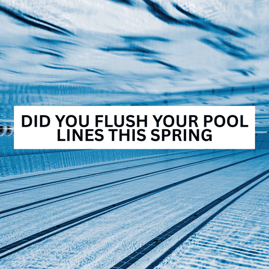 Did You Flush Your Pool Lines This Spring