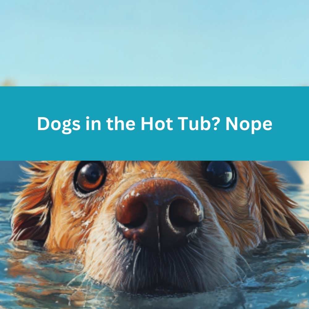 Why dogs should NOT be in your Hot Tub - AquaDoc