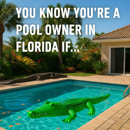 Gator floats in a Florida swimming pool