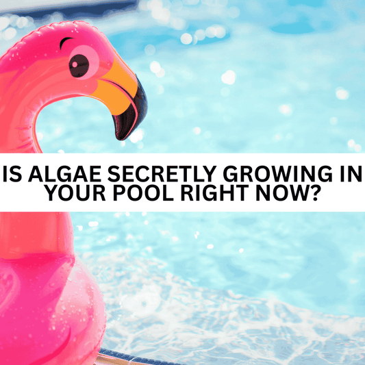 Is Algae Secretly Growing in Your Pool Right Now? - AquaDoc