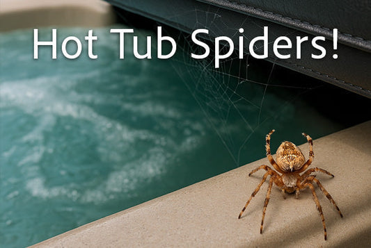 Spiders in the Hot Tub