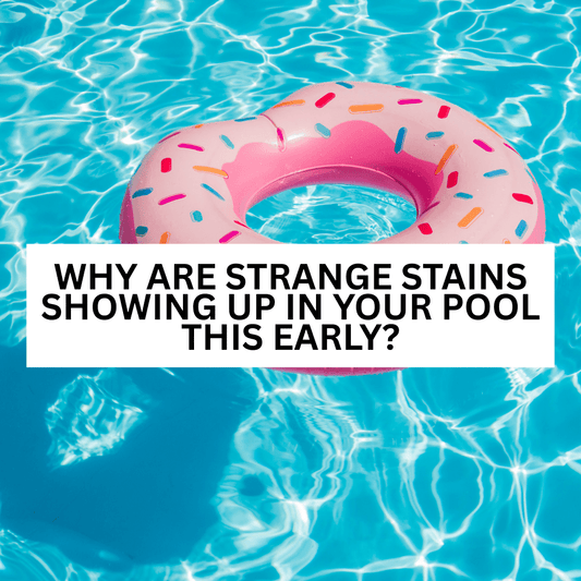 Why Are Strange Stains Showing Up in Your Pool This Early?