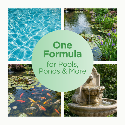 Pool & Pond Algaecide