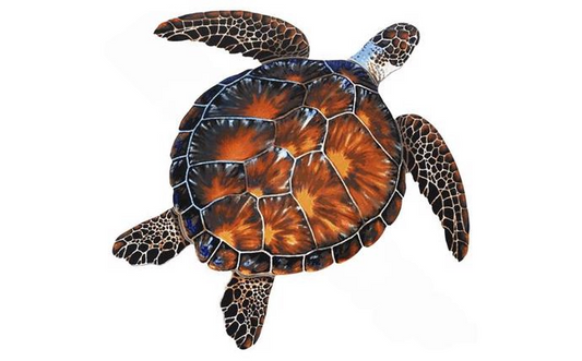 Detailed closeup of brown turtle mosaic tile