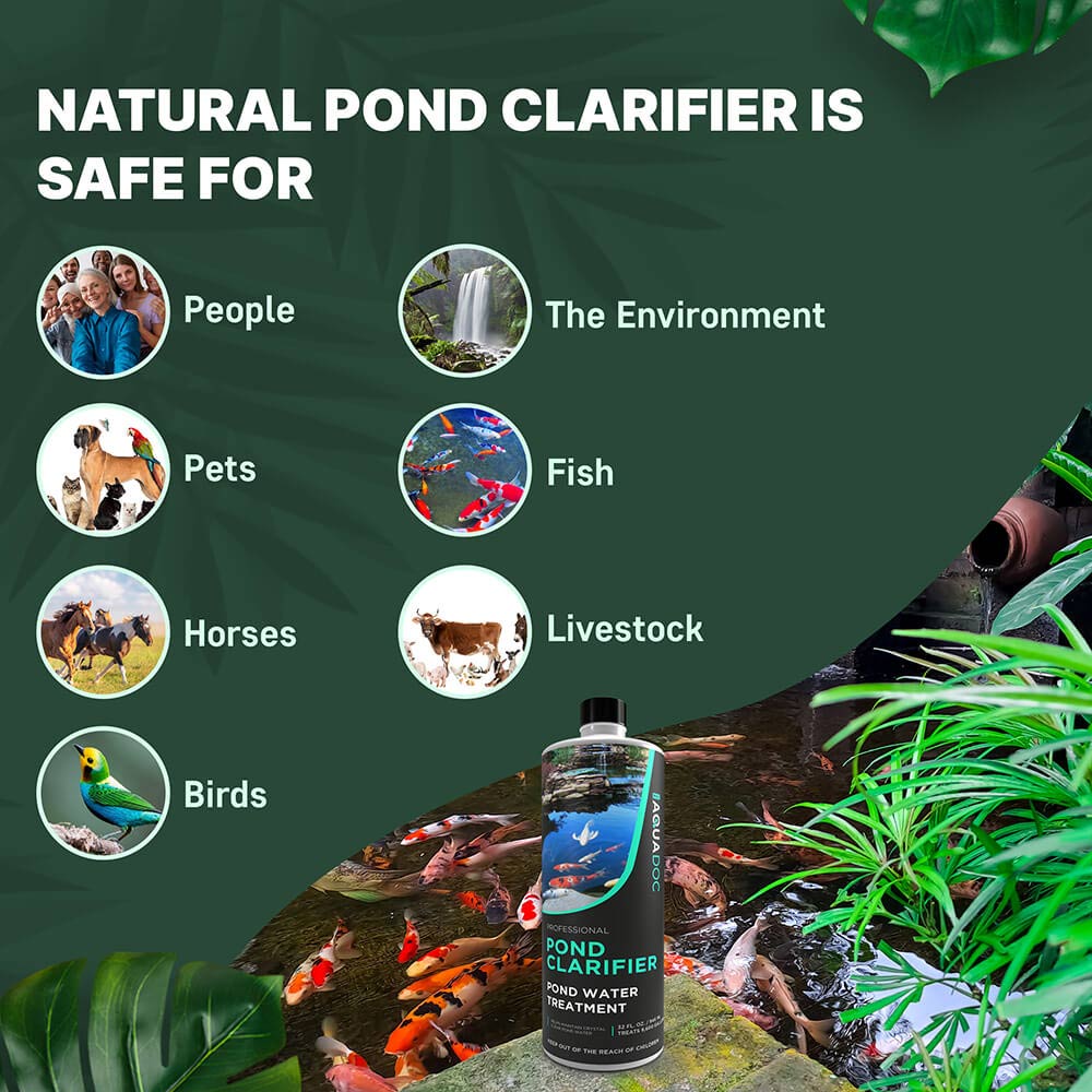 Pond Water Clarifier
