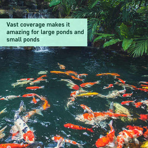 Pond Water Clarifier