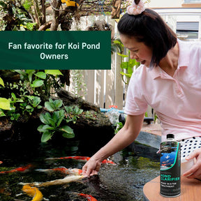 Pond Water Clarifier