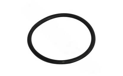 Nature2 R0586400 Collar O - Ring for Nature2® Fusion Soft/Inground Water Sanitizers - AquaDoc