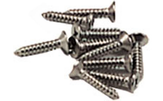 PoolStyle Screw Set for Standard Above Ground Skimmer 10 per Pack K013CS12