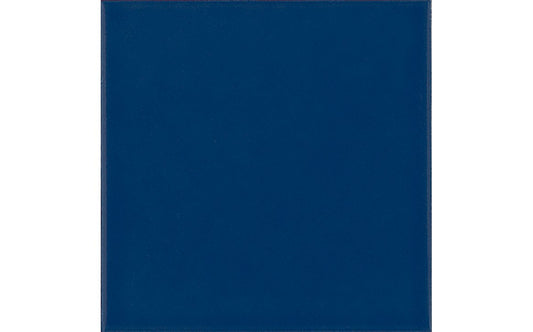 “Installed navy‑blue pool waterline tiles”