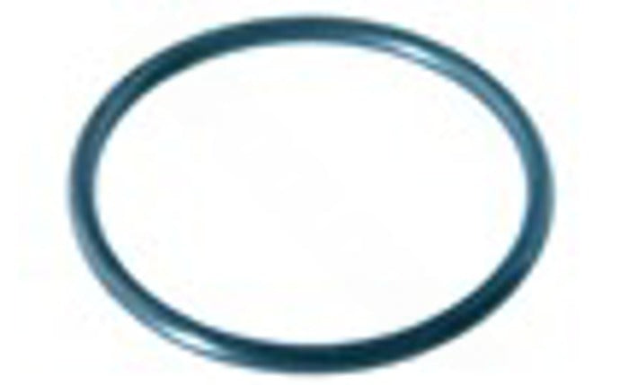 Waterway 805-0145 2" Tailpiece O-Ring


