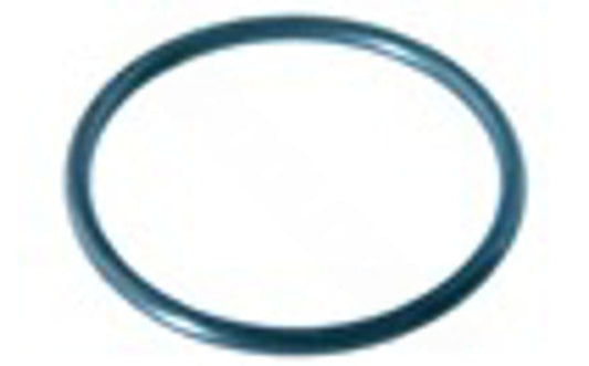 Waterway 805-0145 2" Tailpiece O-Ring


