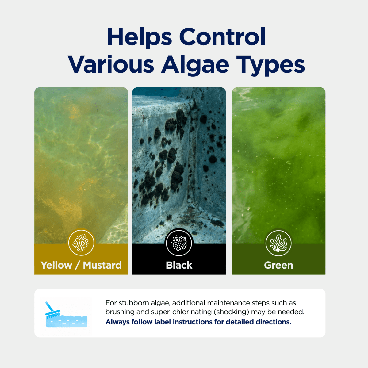 Algae Smash for Pool - AquaDoc - AquaDoc -  - 