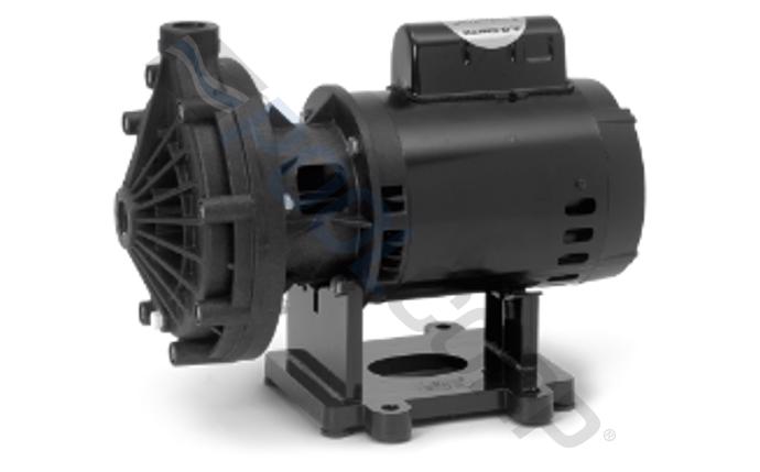 Pentair EC-LA01N 3/4 HP booster pump front view showing stainless steel construction