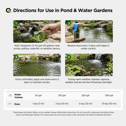 Pool & Pond Algaecide - AquaDoc - AquaDoc -  - 