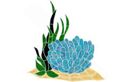 RANBLUOM Anemone Reef Accent ceramic mosaic front view